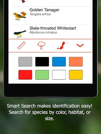 Birds of Ecuador screenshot 17