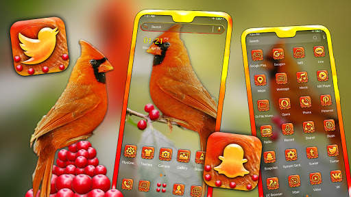 Cardinal Bird Launcher Theme screenshot 1