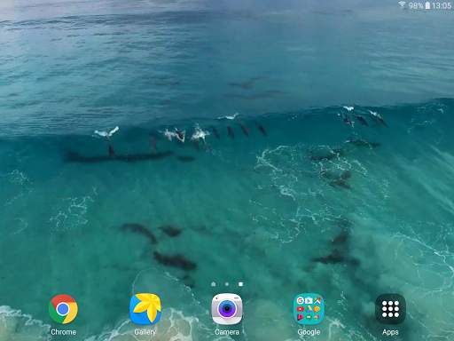 Dolphins Video Live Wallpaper screenshot 9