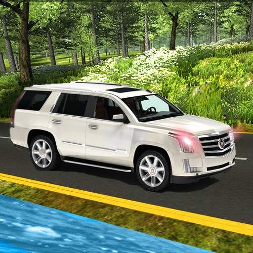 Real Land Cruiser new game 201 1.2.06