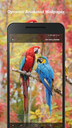 Beauty Birds Wallpaper Pro screenshot 1