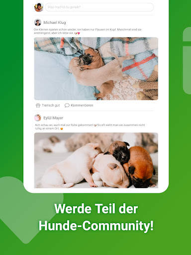 Dogorama – Die Hunde-Community screenshot 12