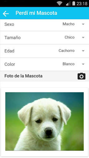 PulgApp screenshot 4