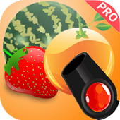 Bubble Shooter Fruits icon