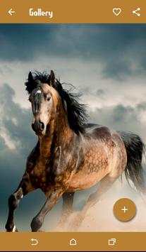 Horse Wallpapers screenshot 1