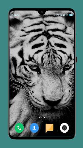 Wild Animal Wallpaper 4K 10 تصوير الشاشة