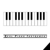 Real Piano Instrument 1.0