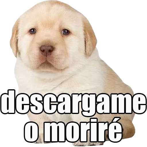 Stickers del Perrito Triste para WhatsApp 🐶 icon