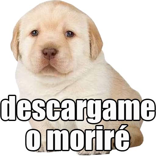 Stickers del Perrito Triste para WhatsApp 🐶 1.7