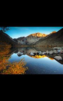 Leaf Fall live wallpaper screenshot 5