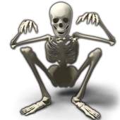 Human Anatomy 8.9