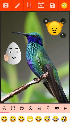 Emoji Photo Sticker screenshot 5