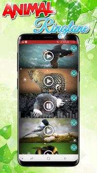 Animals Sound Ringtones Real Free screenshot 4