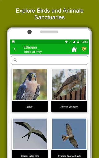 Ethiopia Travel & Explore, Offline Country Guide screenshot 13