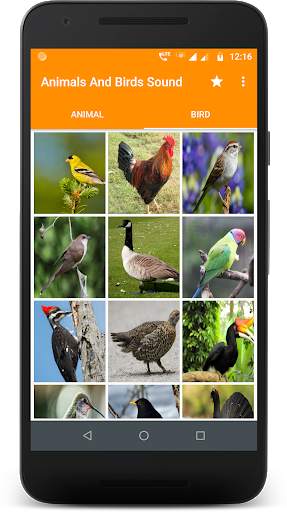 Animals and Birds Sound स्क्रीनशॉट 3
