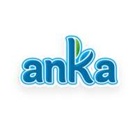 ikon Anka Check