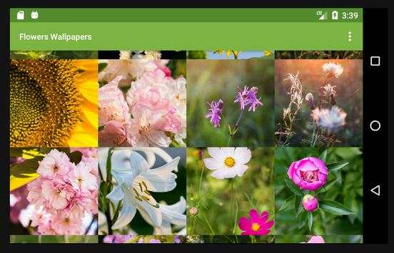 Flowers Wallpapers screenshot 4