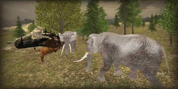 Angry Lion Simulator 2016 screenshot 6
