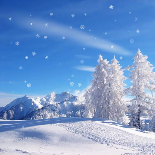 Photo Snow Live Wallpaper 1.0.3