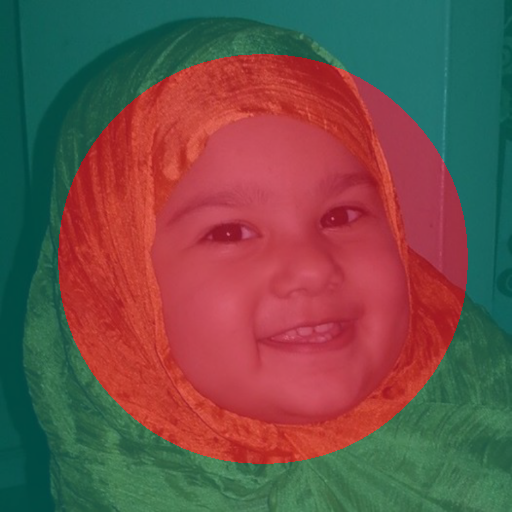Flag 71 - Profile Flag of Bangladesh icon