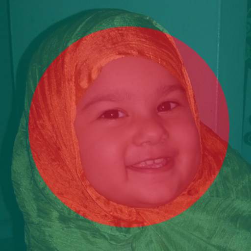Flag 71 - Profile Flag of Bangladesh 1.21