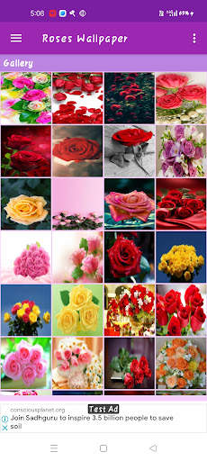 Roses Gallery screenshot 2