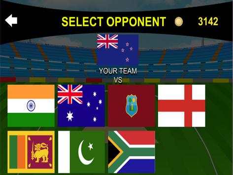 Cricket 2d screenshot 4