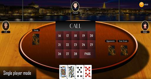 29 Card Game ( Offline   Online ) screenshot 2