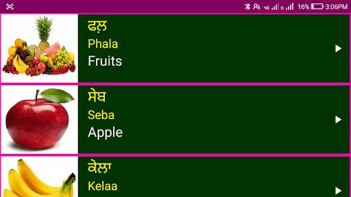 Learn Punjabi From English screenshot 9