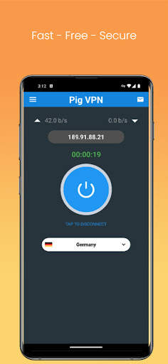 Pig VPN screenshot 2