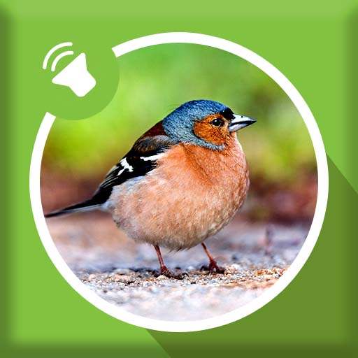 Bird Sounds 1.4