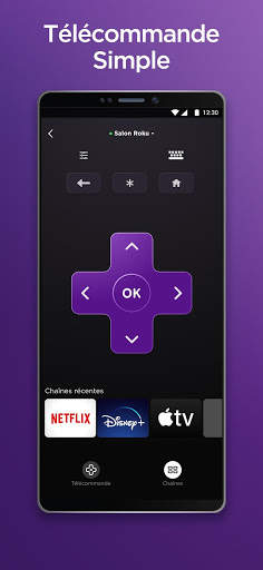 Roku screenshot 1