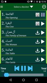 Read and Listen Quran Offline screenshot 5