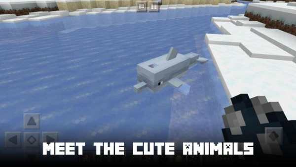 Minecraft Joyful Storage screenshot 6