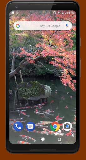 Japanese Pond with Koi Video Wallpaper screenshot 2