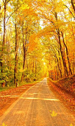 Fall Live Wallpaper screenshot 6