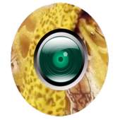 Camera PPAP 1.0