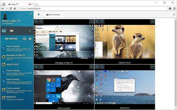 Security web camera screenshot 16