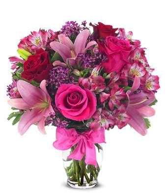 Wonderful Flowers Roses images Gif screenshot 5