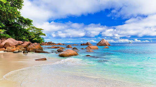 Beach Live Wallpaper (Wallpapers & Backgrounds) screenshot 9