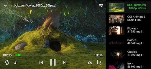 Next Video Player screenshot 3