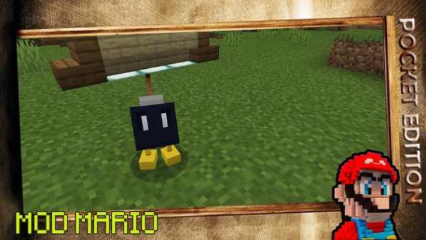 Mod Super mario Minecraft (Un-official guide) screenshot 4