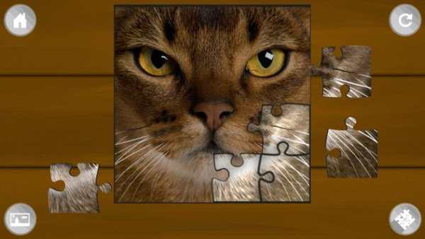 Jigsaw Puzzle Funny Cats screenshot 5