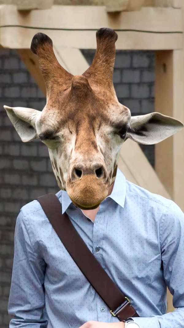 Animal Face Photo Changer 7 تصوير الشاشة