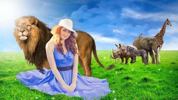 Wild Animal Photo Editor-Animal Photo Frame Editor screenshot 3