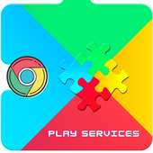 Play Services Info &amp; Play Store Update icon