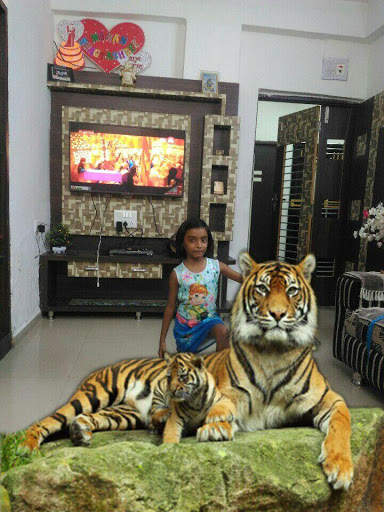 Photowithlion - Take photo with Lion screenshot 2