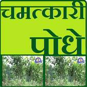 chamatkaari podhe 0.0.1