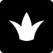 Снежная Королева icon