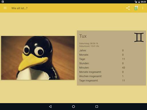 Wie alt ist? screenshot 14